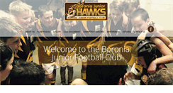 Desktop Screenshot of boroniajuniorfc.com